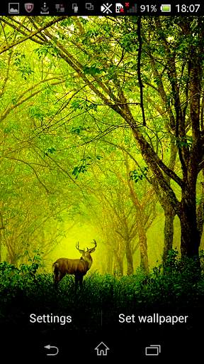 Galaxy Deer HD Live Wallpaper screenshot 6