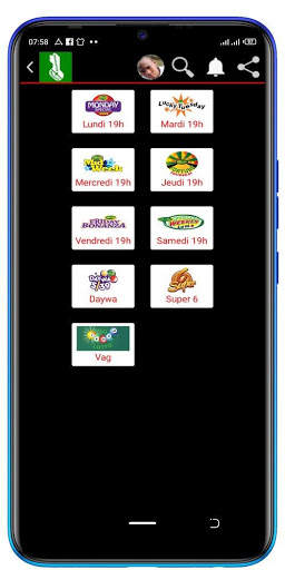 Nelm lotto screenshot 2