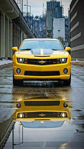Muscle Car Wallpapers screenshot 8