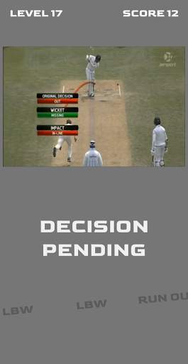 Cricket OUT or NOT screenshot 8