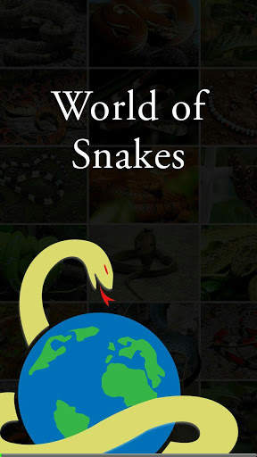 World of Snakes screenshot 1