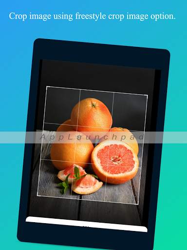Crop image  - crop photo & crop pictures , nocrop screenshot 17