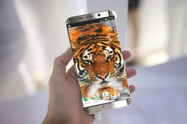 Tiger Live Wallpaper screenshot 2