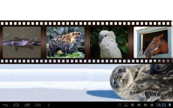 Best Funny Animals Sounds screenshot 4