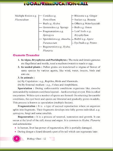 Class 12 Biology screenshot 3