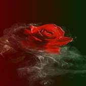 Smoky Rose Live Wallpaper on 9Apps