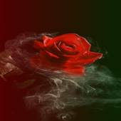 Smoky Rose Live Wallpaper 2