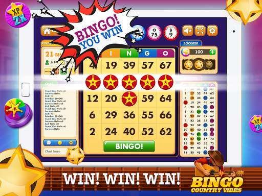 Bingo Country Vibes-Live Games screenshot 12