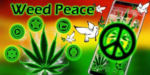 Rasta Weed Peace Reggae Theme screenshot 5