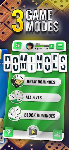 Dominoes - Classic Domino Game screenshot 3