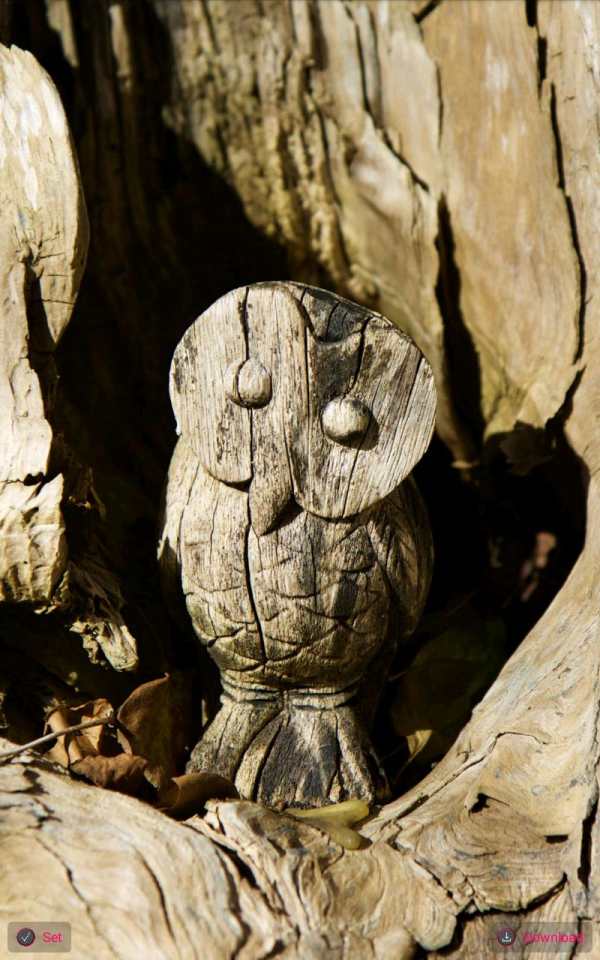 Wood Wallpaper screenshot 6