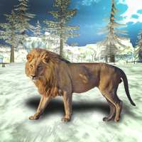 Angry Lion Winter Attack