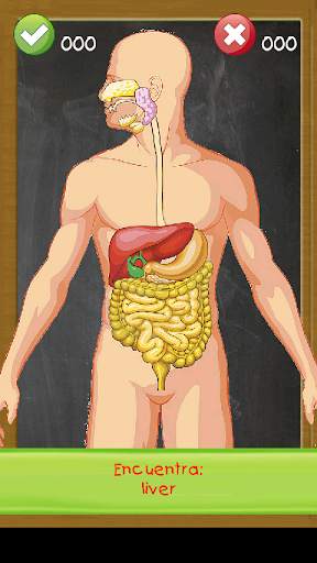 Aprender anatomia humana niños скриншот 8
