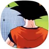 Walkthrough DragonballZ  Tag Team Helper on 9Apps