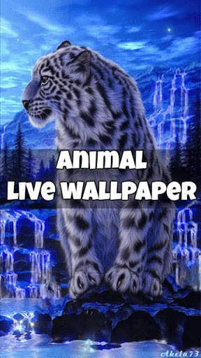  1000 Cool Live Wallpaper screenshot 3