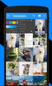 Gallery screenshot 2