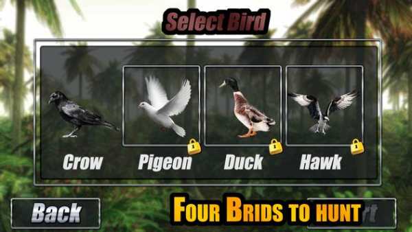 Forest Birds Hunting screenshot 5