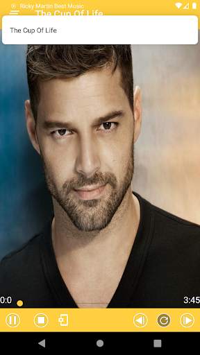 Ricky Martin Best Music(Offline) & Ringstones screenshot 2