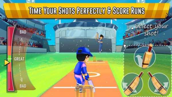 Pakistan Cricket League screenshot 8