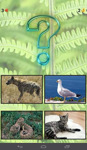 ZOO sounds quiz screenshot 9