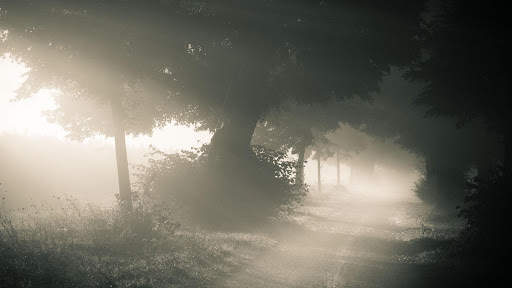 Mystic Night Live Wallpaper : 7fon & LWP screenshot 10