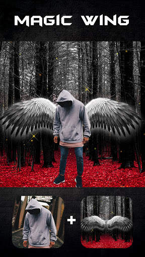 Photo Editor Pro, Background Changer - Photo Layer screenshot 4