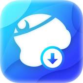 DVDFab Downloader 1.1.0.1