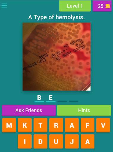 Microbiology quiz; plate reading app. screenshot 12