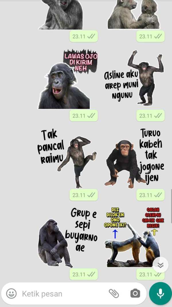 Stiker WA Monyet Jawa Lucu screenshot 8