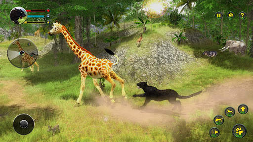 Panther Simulator 3d Animal Games screenshot 12