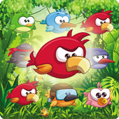 Birds Matching icon