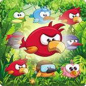 Birds Matching 1.1