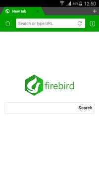 Firebird Browser Pro superFast screenshot 1