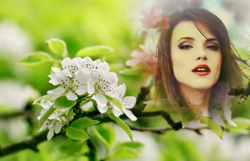 Sakura Photo Frames screenshot 5