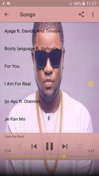 Skales - the best songs 2019 - without internet 5 تصوير الشاشة
