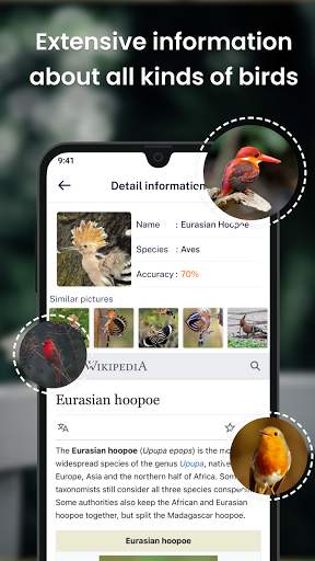 Bird identification: Picture bird identifier app screenshot 2