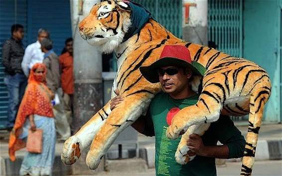 BCB Cricketer screenshot 7
