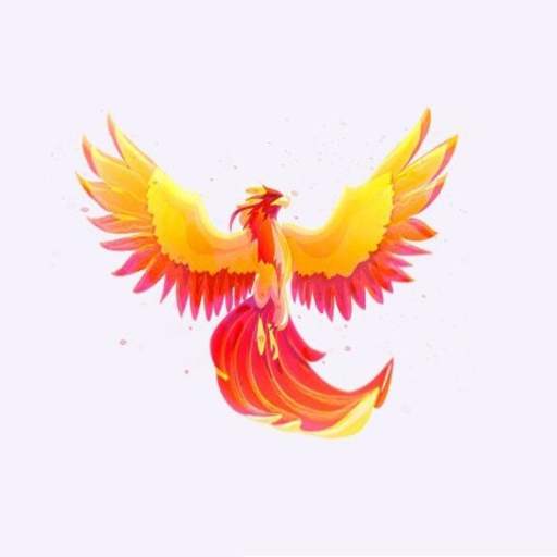 Phoenix 1.0