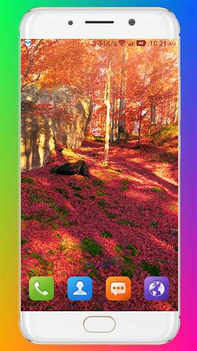 Autumn Wallpaper HD screenshot 13