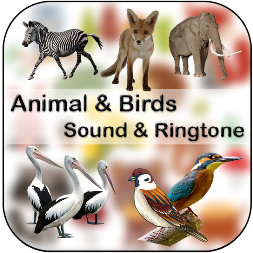 Animals &amp; Birds Sound &amp; Ringtone 2019 icon
