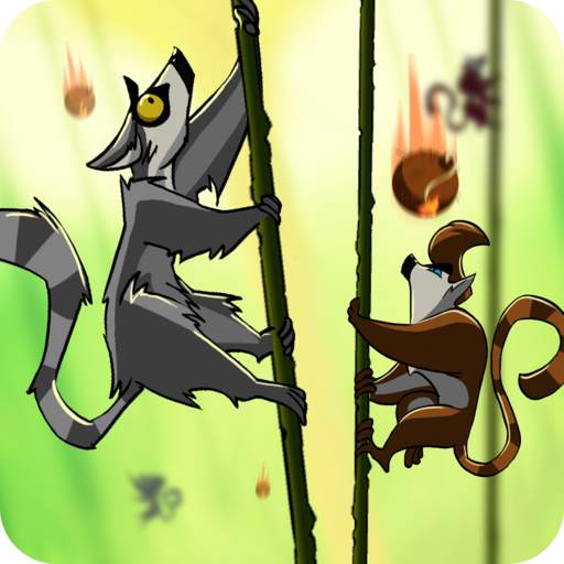 Monkey's ropes party 10