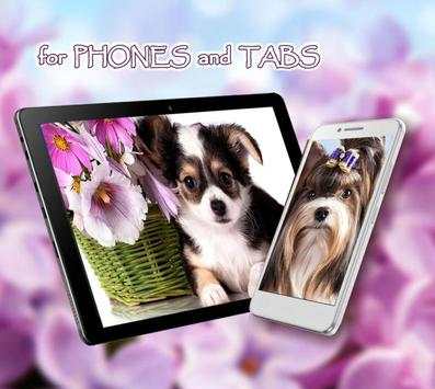 Cute Puppies live wallpaper screenshot 1