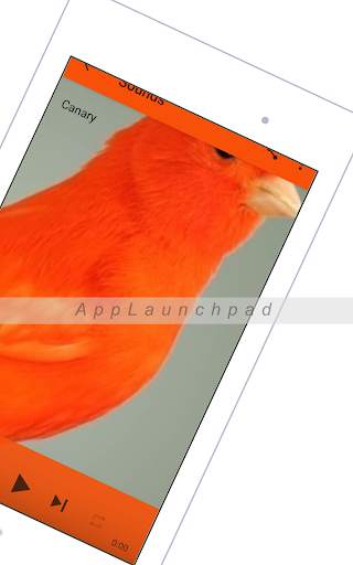 Canary screenshot 8