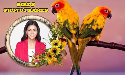 Birds Photo Frames скриншот 6