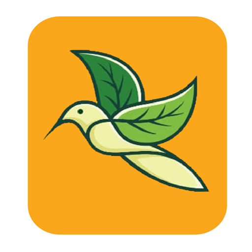 Fly VPN icon