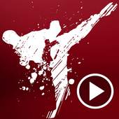 Karate Techniques Videos 1.1.6