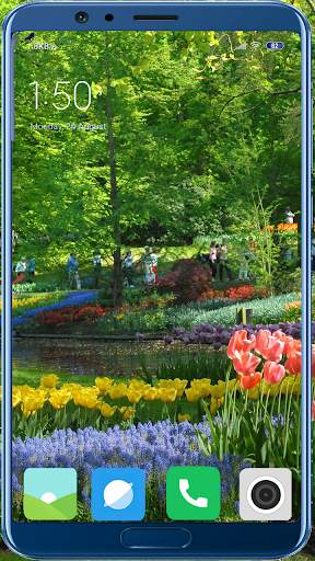 1000   Garden Full HD Wallpaper 16 تصوير الشاشة