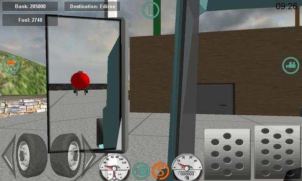 Real Trucker LM 3D screenshot 4