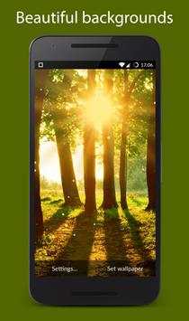 Forest Live Wallpaper screenshot 1