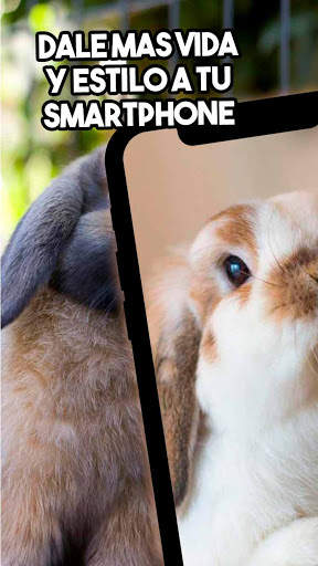 🐰 Conejos Fondos de Pantalla 🐰 - Lindos Conejos screenshot 1